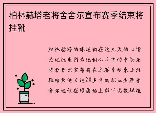 柏林赫塔老将舍舍尔宣布赛季结束将挂靴