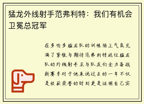 猛龙外线射手范弗利特：我们有机会卫冕总冠军