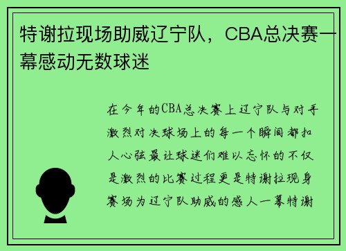 特谢拉现场助威辽宁队，CBA总决赛一幕感动无数球迷