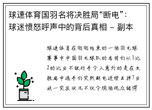 球速体育国羽名将决胜局“断电”：球迷愤怒呼声中的背后真相 - 副本