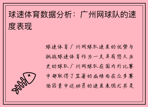 球速体育数据分析：广州网球队的速度表现