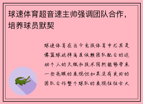球速体育超音速主帅强调团队合作，培养球员默契