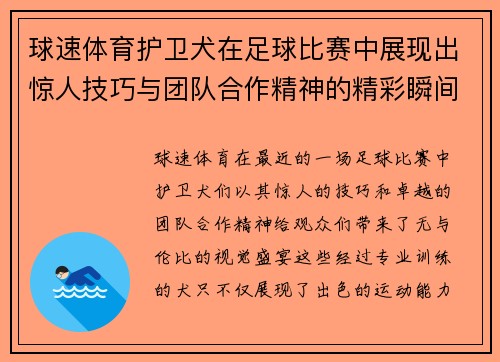 球速体育护卫犬在足球比赛中展现出惊人技巧与团队合作精神的精彩瞬间