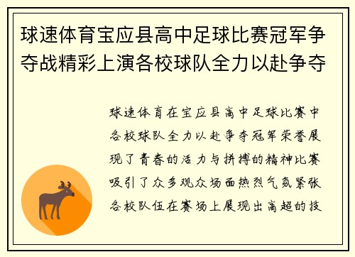 球速体育宝应县高中足球比赛冠军争夺战精彩上演各校球队全力以赴争夺荣誉