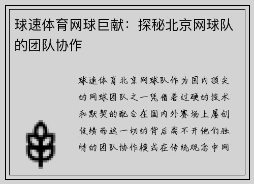 球速体育网球巨献：探秘北京网球队的团队协作