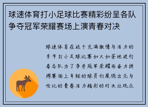 球速体育打小足球比赛精彩纷呈各队争夺冠军荣耀赛场上演青春对决