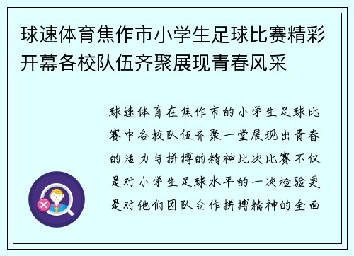 球速体育焦作市小学生足球比赛精彩开幕各校队伍齐聚展现青春风采